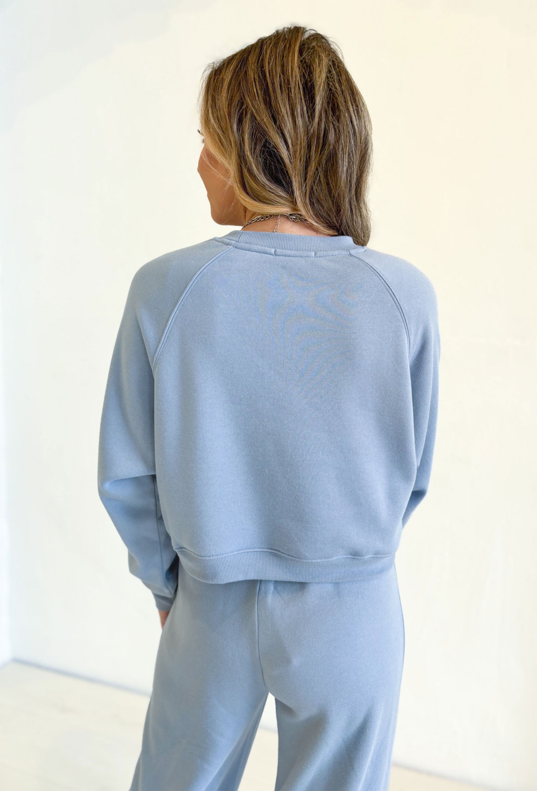 Z SUPPLY Crop Out Sweatshirt, light blue cropped crew neck